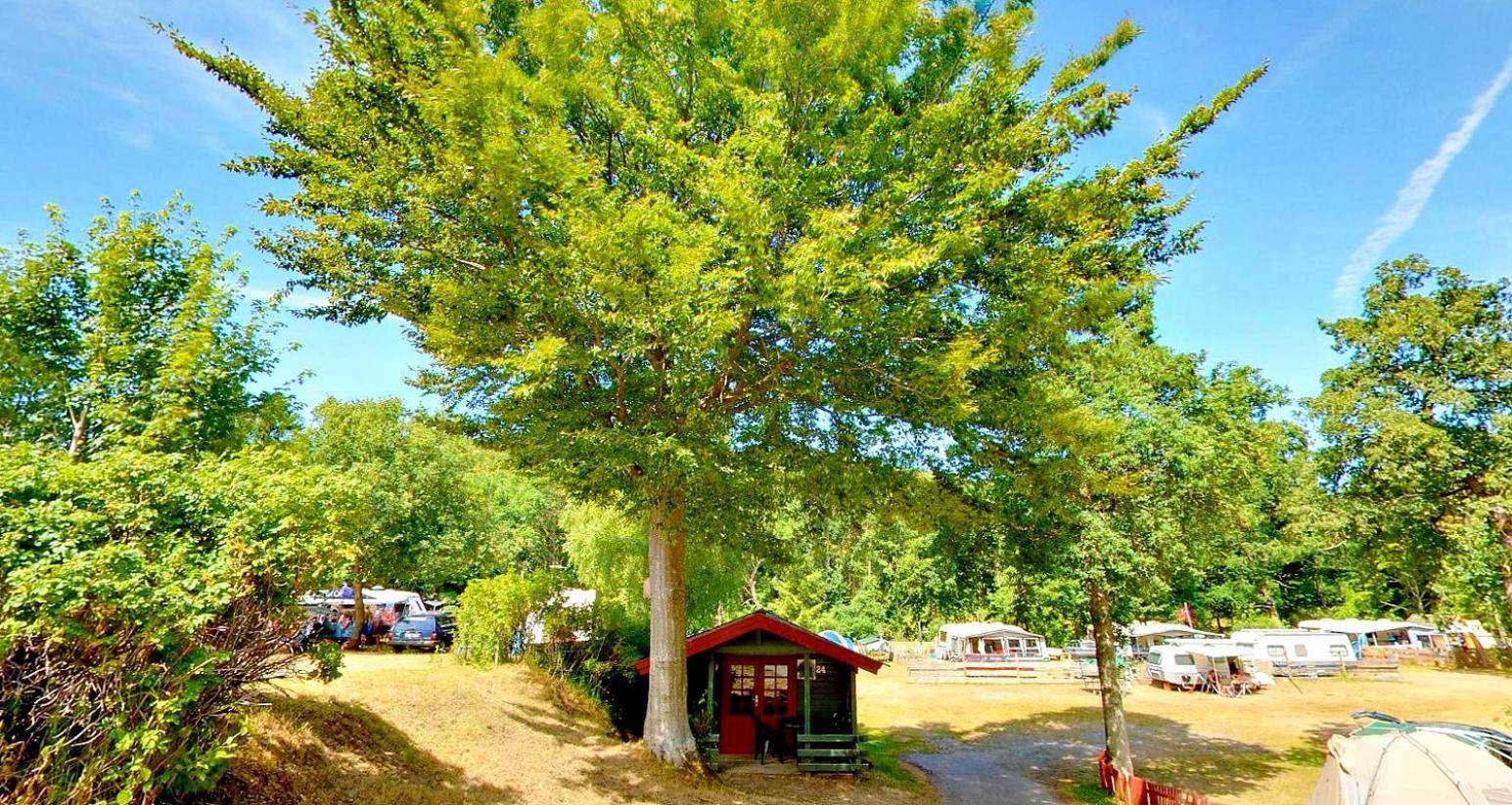 Randboldal Camping & Cabins Esterno foto