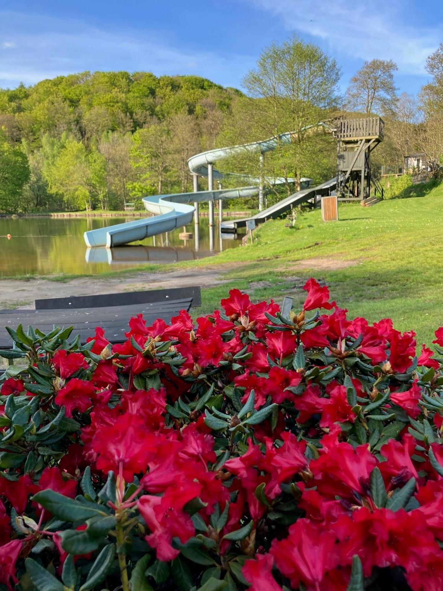 Randboldal Camping & Cabins Esterno foto